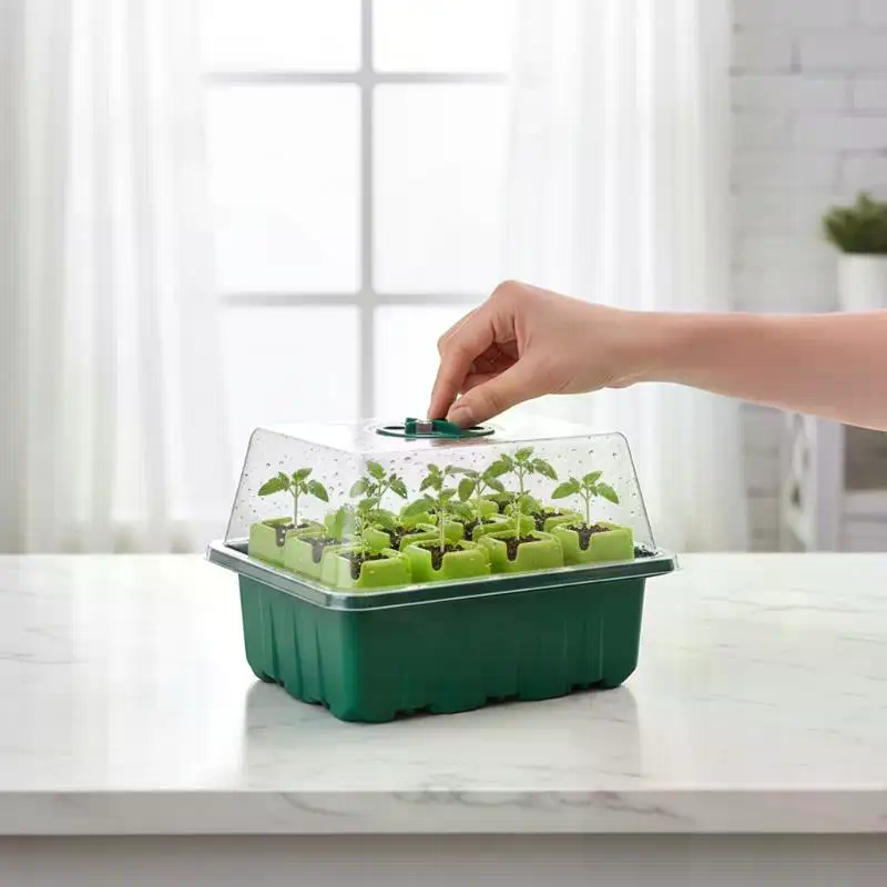 Propagation Tray Dome - 1セット種子スタータートレイミニ温室発芽キット湿度ドーム苗栽培ベース繁殖キット