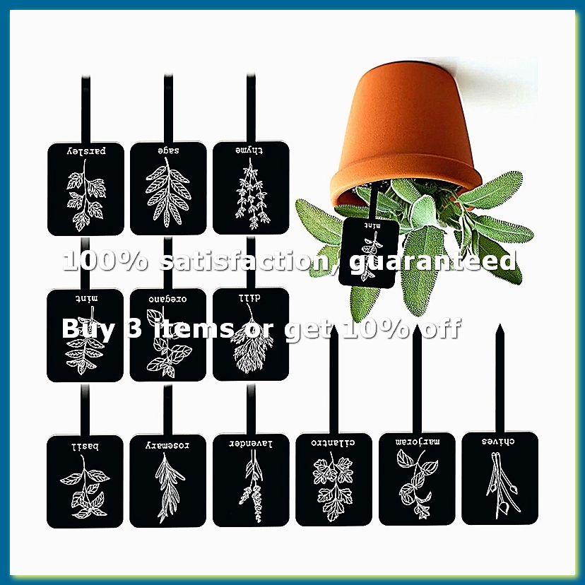 Gardening Tools Names - 24 個のアクリル製植物ラベルサイン 12 スタイル ガーデンマーカー 植物ステークタグ