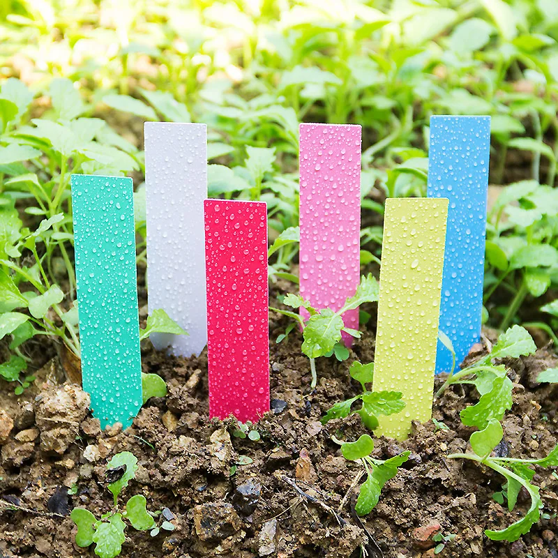 Plant Label Tags - 100個厚い4インチ植物ラベル再利用可能なプラスチックロング防水ガーデン植物マーカータグ5色プラスチック成長ラベル