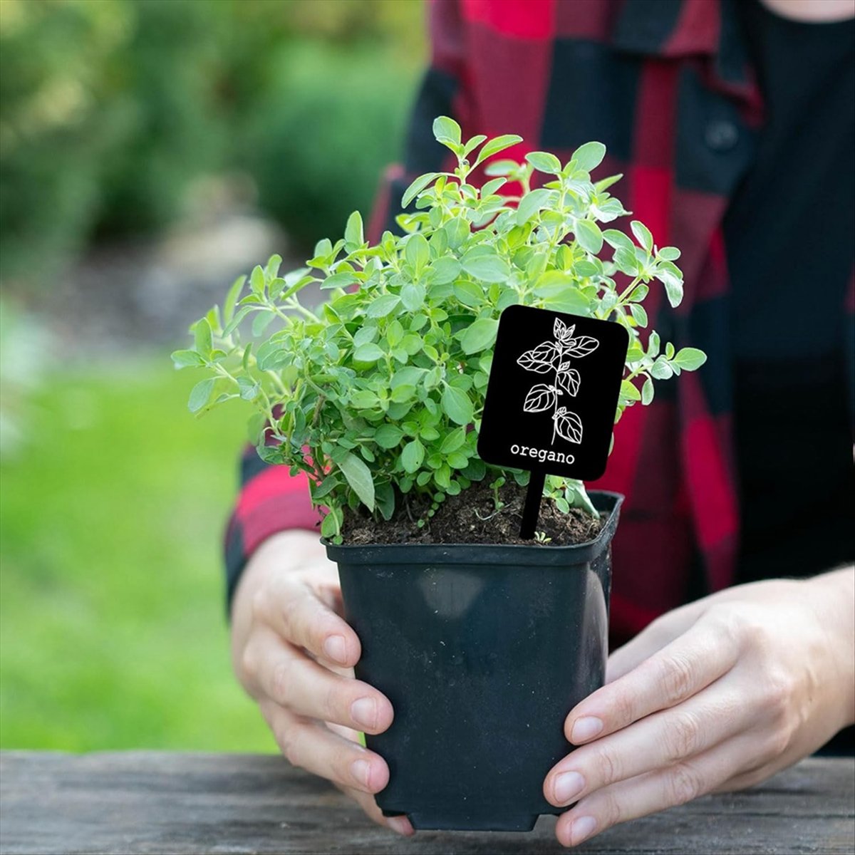 Gardening Tools Names - AA14 24個入り アクリル製植物ラベルサイン 12種類 ガーデンマーカー 植物用杭タグ