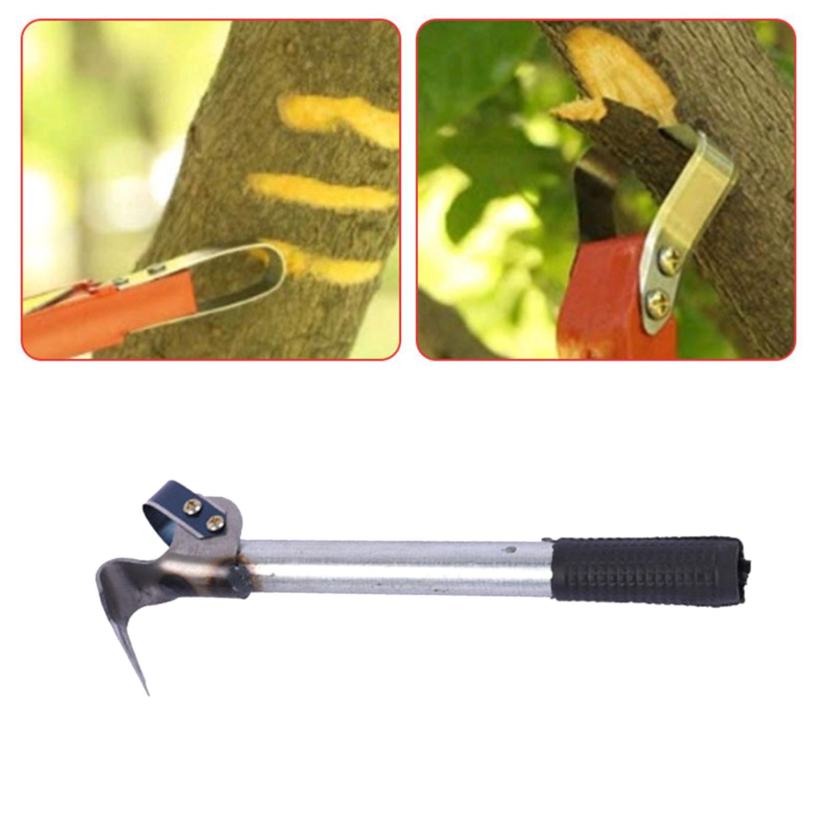 樹皮除去ツール 樹皮コンパクト削り取りナイフ ガーデニング用 - Gardening Tools Drawing のレビューと価格