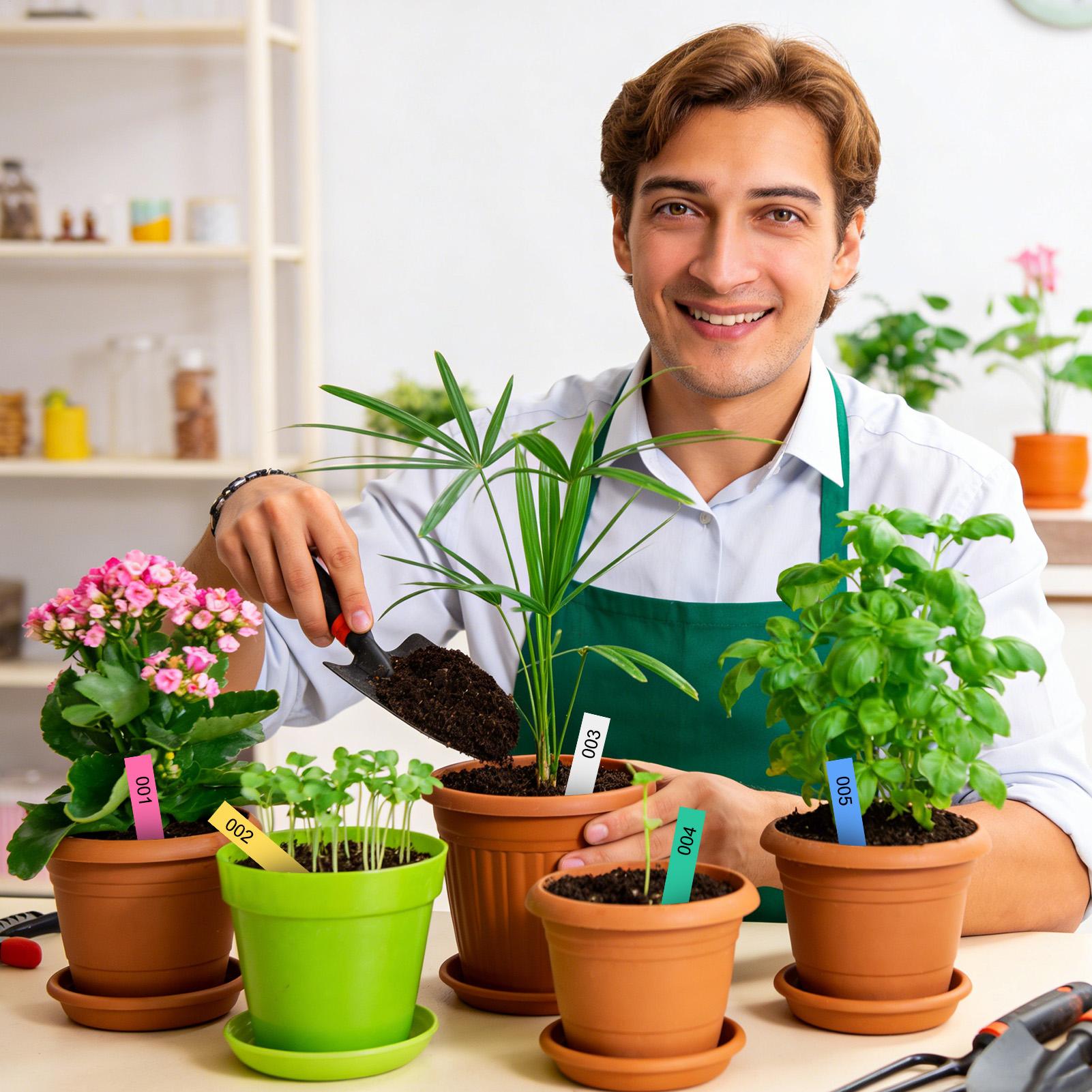 500 個植物ラベルガーデンサイン防水保育園用植物標識タグマ - Plant Label Tags のレビューと価格