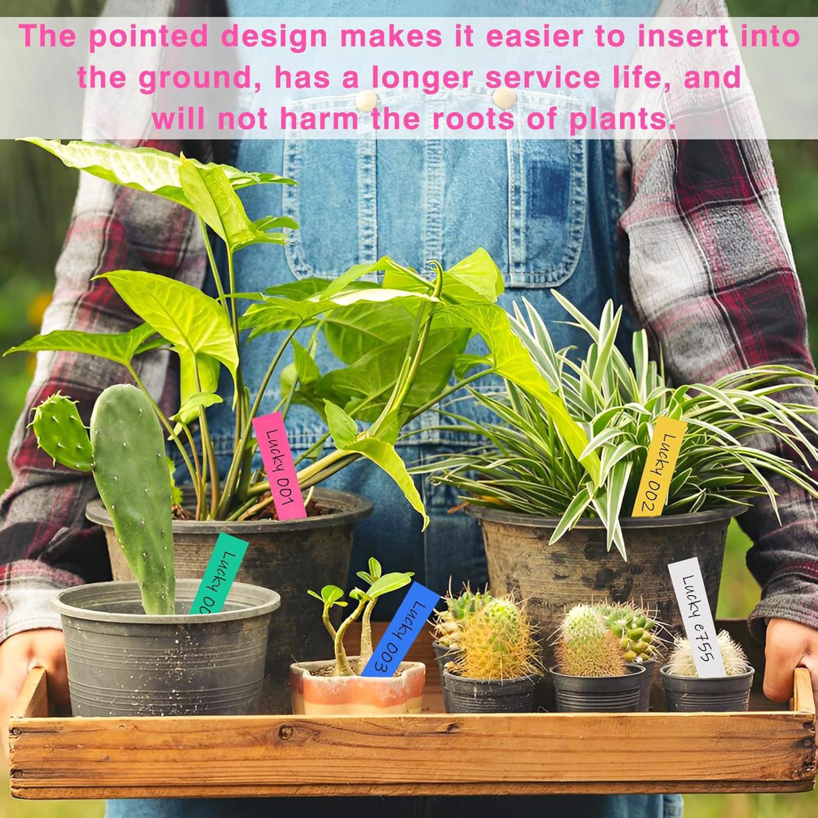500 個植物ラベルガーデンサイン防水保育園用植物標識タグマ - Plant Label Tags のレビューと価格
