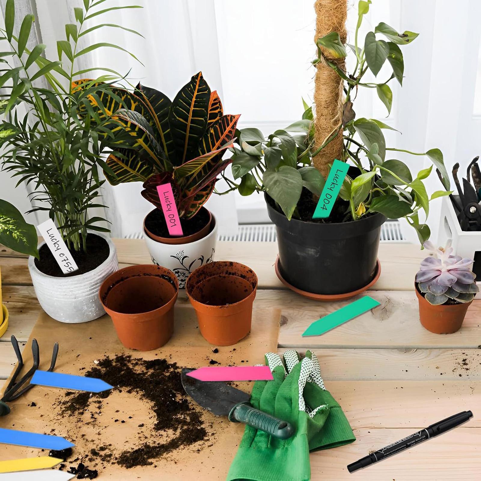 500 個植物ラベルガーデンサイン防水保育園用植物標識タグマ - Plant Label Tags のレビューと価格