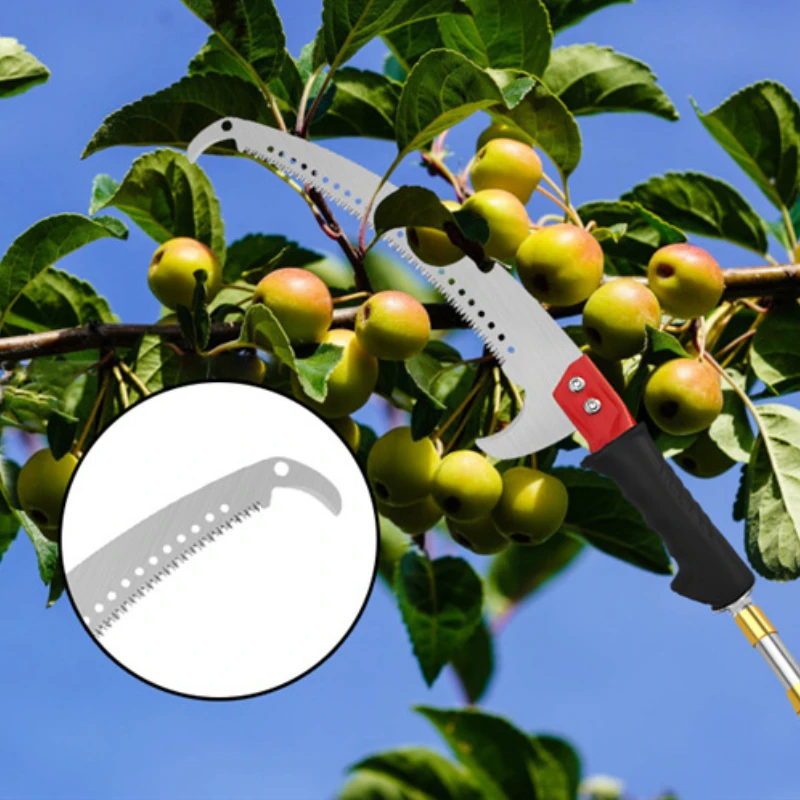 伸縮式ハイブランチハンドソー,シングルフックソーとダブルフッ - Gardening Tools Sale のレビューと価格