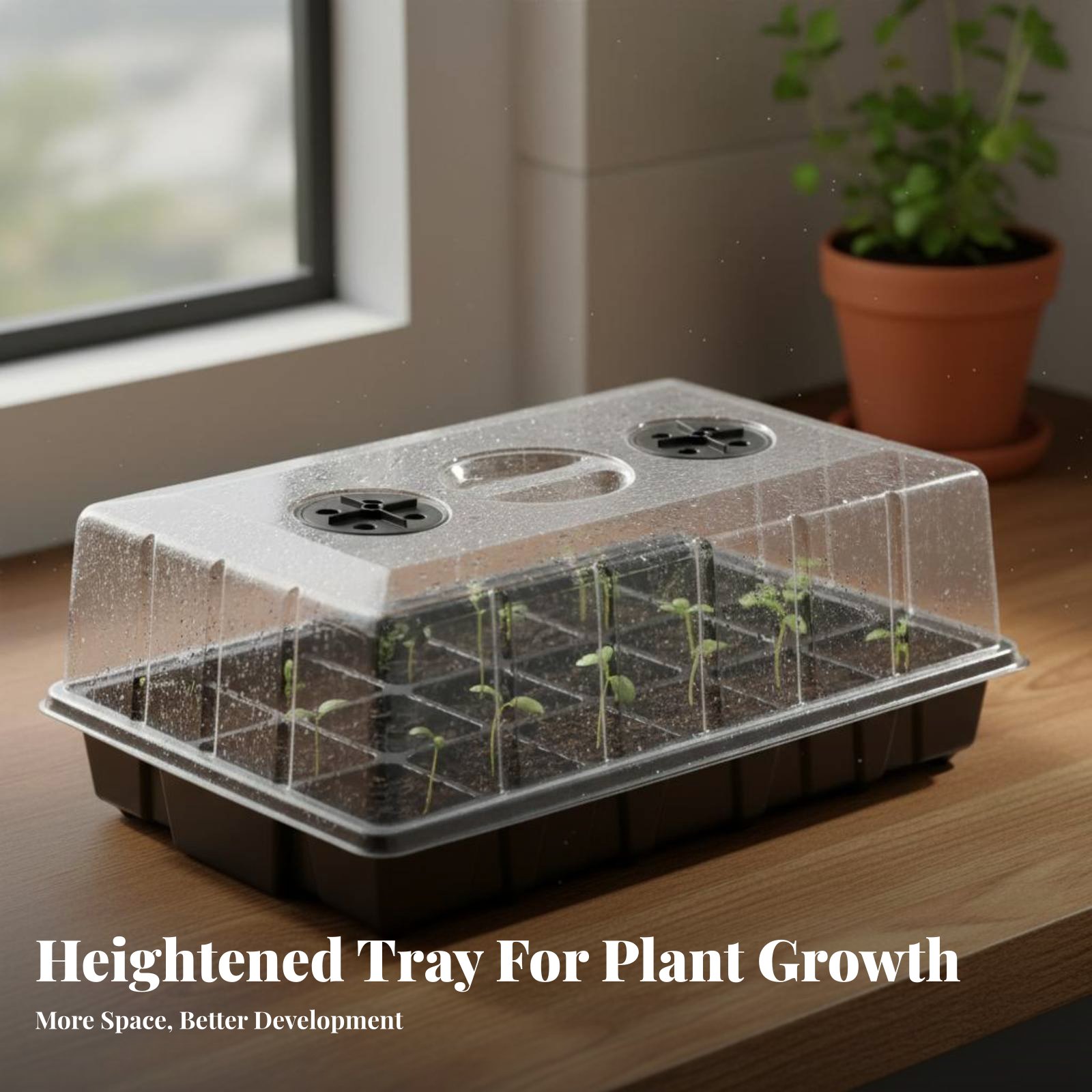 24コンパートメント育苗トレイ 透明蓋付き育苗トレイ ドーム - Propagation Tray Dome のレビューと価格