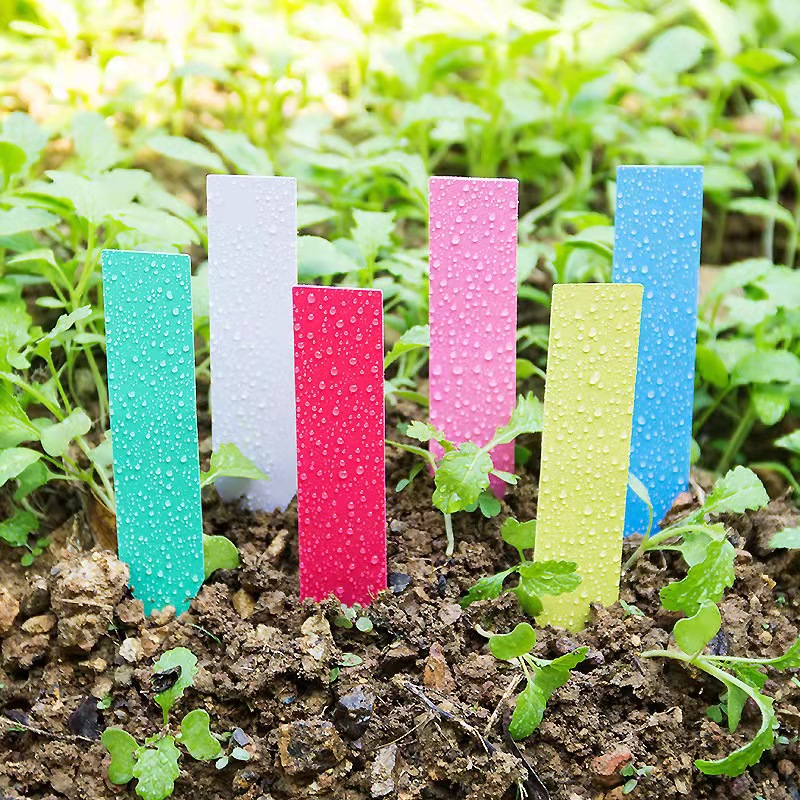 100 個園芸植物ラベルプラスチック植物タグ保育園マーカー植 - Plant Label Tags のレビューと価格