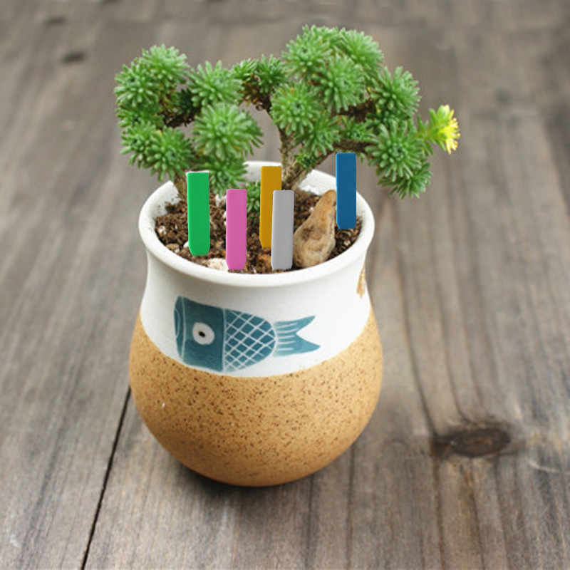 100 個園芸植物ラベルプラスチック植物タグ保育園マーカー植 - Plant Label Tags のレビューと価格