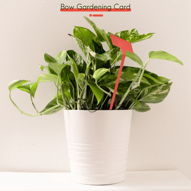 ABYP ガーデン植栽ツール 50 個盆栽プラスチック植物ラ - Plant Label Tags のレビューと価格