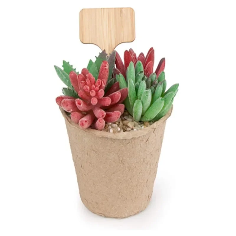 10 個 T 型木製植物ラベル環境に優しい庭の竹タグ種子鉢植 - Plant Label Tags のレビューと価格