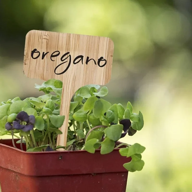 10 個 T 型木製植物ラベル環境に優しい庭の竹タグ種子鉢植 - Plant Label Tags のレビューと価格