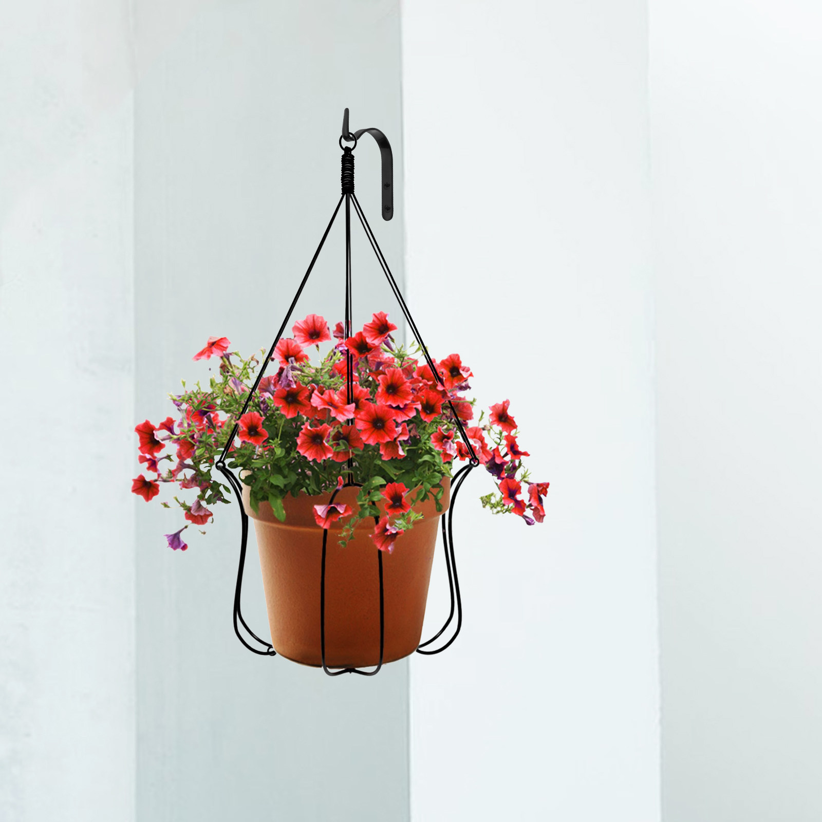 4個入り鉄製ウォールフック、吊り下げ式植物ブラケット、ラステ - Gardening Tools Organizer のレビューと価格