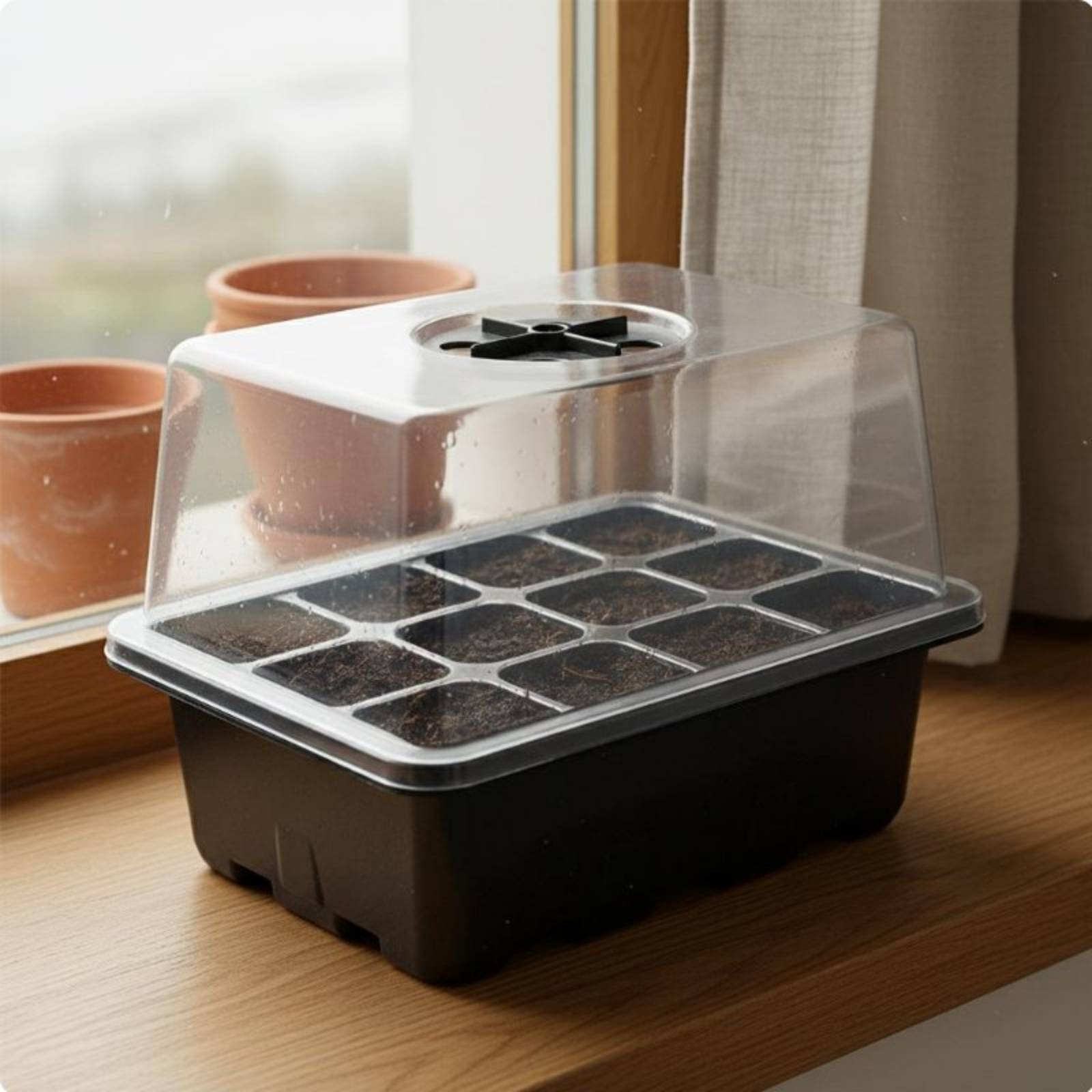 12コンパートメント種子育成トレイ 透明蓋付き種子初心者用ト - Propagation Tray Dome のレビューと価格