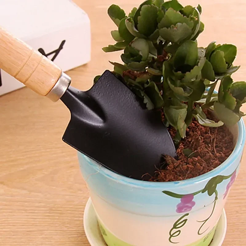 3 ピース/セットミニガーデンツールセット小型屋内植物ケア掘 - Gardening Tools Shop のレビューと価格