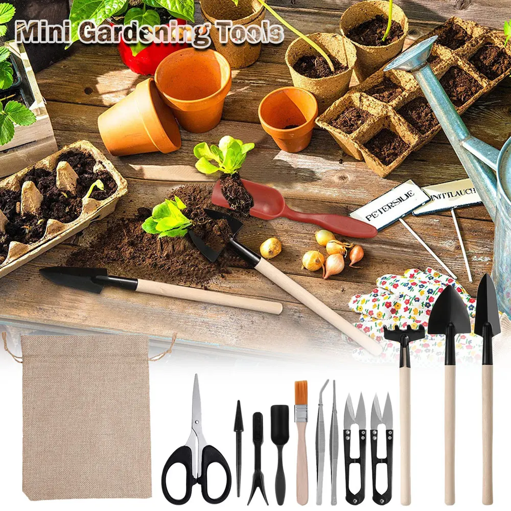 屋内多肉植物ツールセット、黒の鉢植え、サボテンの植物の栽培、 - Gardening Tools Sale のレビューと価格