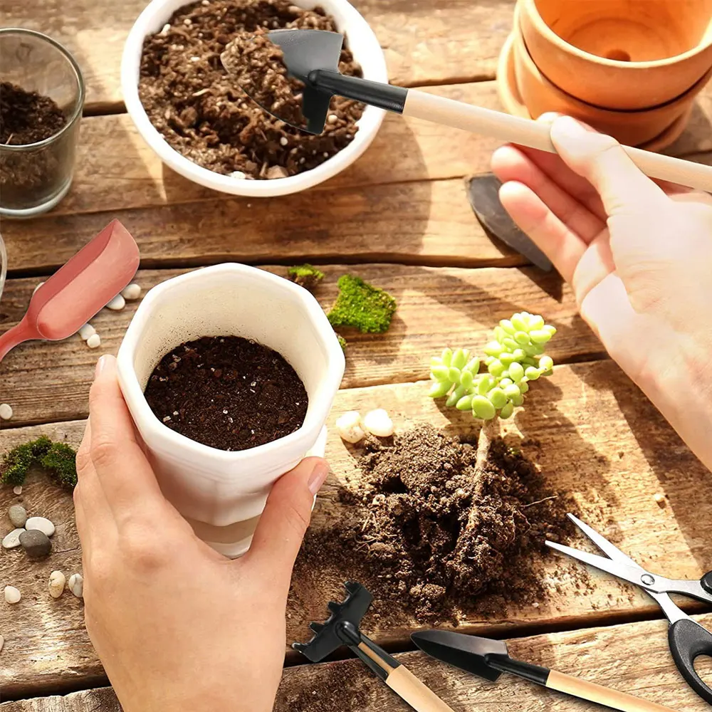 屋内多肉植物ツールセット、黒の鉢植え、サボテンの植物の栽培、 - Gardening Tools Sale のレビューと価格