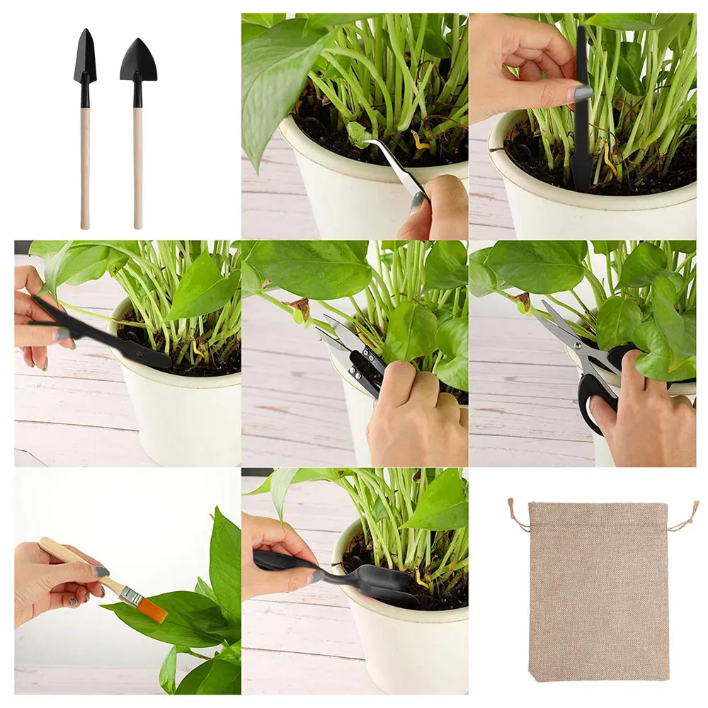 屋内多肉植物ツールセット、黒の鉢植え、サボテンの植物の栽培、 - Gardening Tools Sale のレビューと価格