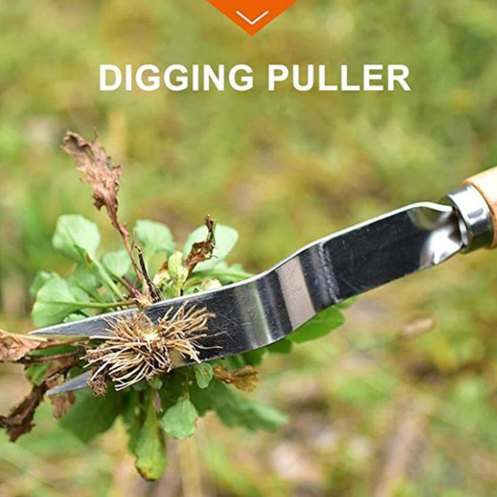 木製ハンドル付きステンレス製ガーデンピンセット,取り外し,カ - Gardening Tools Sale のレビューと価格