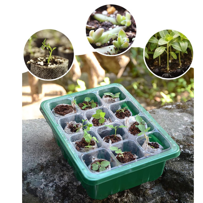 ホットセール 6/12穴 シードスタータートレイ 湿度ドーム - Propagation Tray Dome のレビューと価格