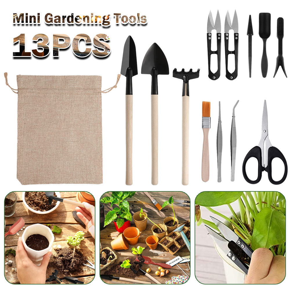 多肉植物ツールミニガーデンハンドツール金型屋外盆栽ガーデニン - Gardening Tools Sale のレビューと価格