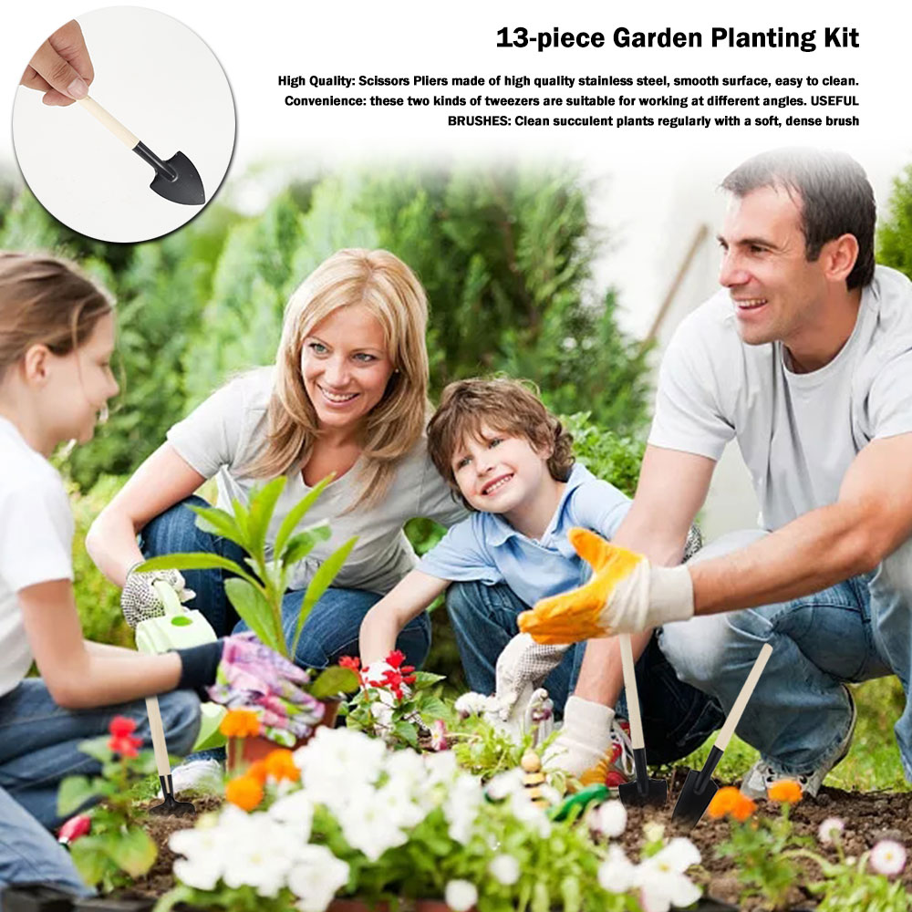 多肉植物ツールミニガーデンハンドツール金型屋外盆栽ガーデニン - Gardening Tools Sale のレビューと価格
