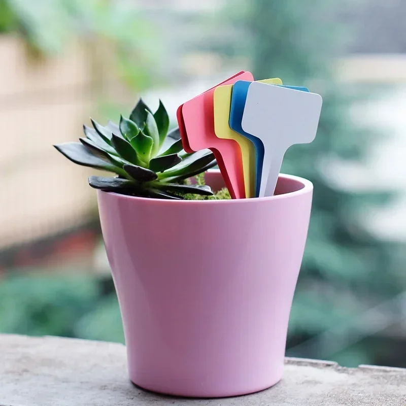 20 個プラスチック防水植物名札ストリップライン園芸ラベル標 - Gardening Tools Names のレビューと価格