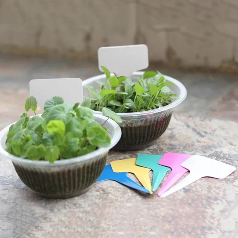 20 個プラスチック防水植物名札ストリップライン園芸ラベル標 - Gardening Tools Names のレビューと価格