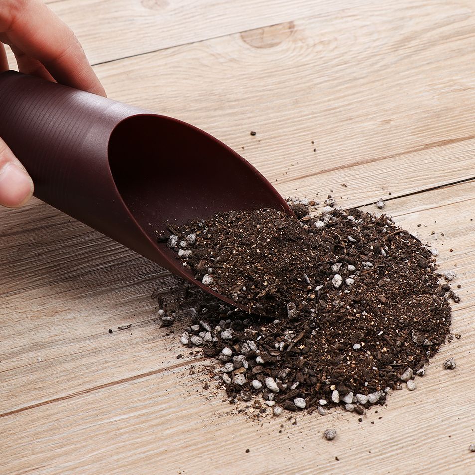 プラスチック製の庭の手入れ用の芝生の形をしたポーチ,植物が付 - Gardening Tools Sale のレビューと価格